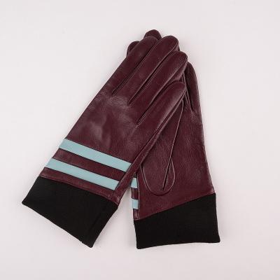 China Winter Simple High Quality Breathable Warm Fashion Workout Gloves Leather Women for sale