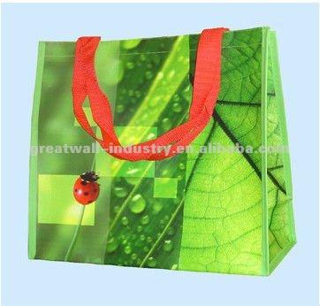 China Green Leaf Ladybug Folding Green Shopping Bag for sale