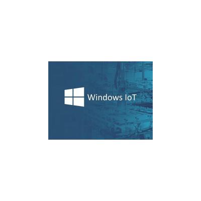 China Windows 10 2016 Digital iot ot ltsb iot ltsb Digital OEM Win 10 ready running Windows 10 2016 Digital iot delivery email entry for sale