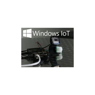 China MS VALUE Digital LTSC 2019 Win 10 Win 10 IoT Win 10 Win 10 IoT Delivery Email Ready IoT Digital IoT for sale