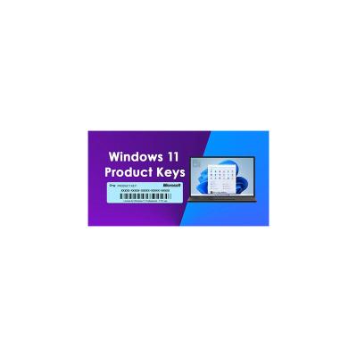 China Software For Win 11 License Email Delivery For Win 11 Pro Digital Key 1PC OEM COA For Win 11 License Key Digital for sale