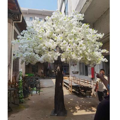 China Artificial Plastic Wedding White Flower Silk Cherry Blossom Tree Decoration For Wedding for sale