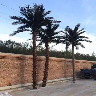 China Fake large contemporary outdoor palm trees for backyard decoration for sale