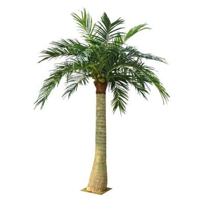 China 2m to 4m Tall Indoor Garden Outdoor Mall Fiberglass Coconut Tree Tropical Ornamental Plastic Plant for sale