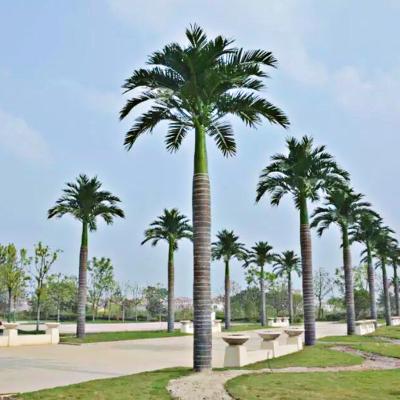 China Large artificial coastal coconut palm tree on outdoor for sale