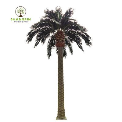 China tropical artificial coconut tree for outdoor decoration factory price for sale