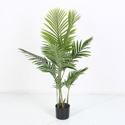 China Coastal Discount on Green Artificial Areca Palm 160cm Bonsai Tree for Home Decoration for sale