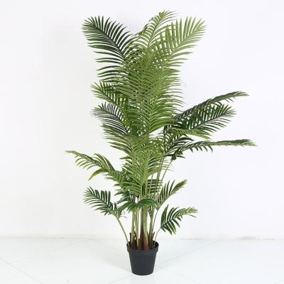 China Coastal Large Plastic Areca Palm 200cm Bonsai Artificial Tree For Landscaping for sale