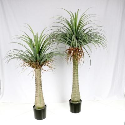 China Modern high quality artificial sago cycad plants tree for sale for sale