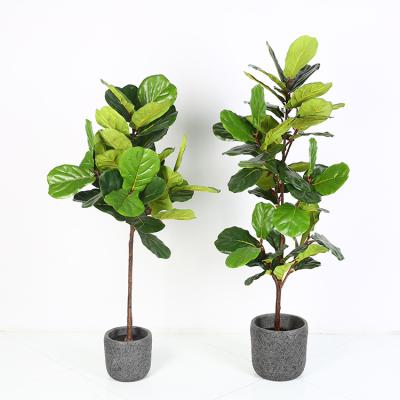 China Tropical Artificial Fig Leaf Eucalyptus Fig Tree Garden Manufacturer China Plants for sale