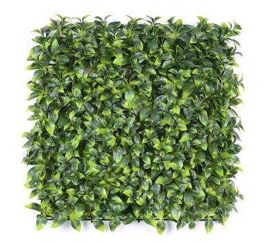 China Coastal New Design Plant Artificial Plastic Grass Wall For Office Decor for sale