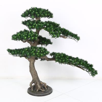 China Contemporary Customized Large Artificial Podocarpus Trees Artificial Pine Trees For Decoration for sale