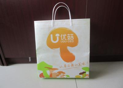 China Plastic Hand Non Woven Shopping Bag Recycled 18 gsm BOPP Film for sale