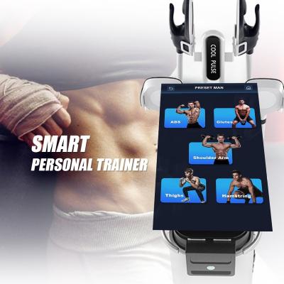 China Sincoheren's Coolest Weight Loss Product Fresh Pulse Timed Release Of Frozen Fat Loss And Pulse Training for sale