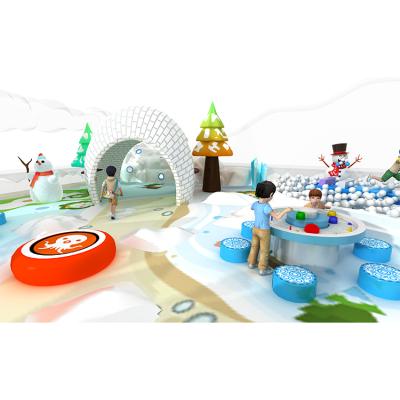 China Playgrond Multifunctional Indoor Hot Sale Factory Commercial Children Ice and Snow Theme Indoor Playground for sale