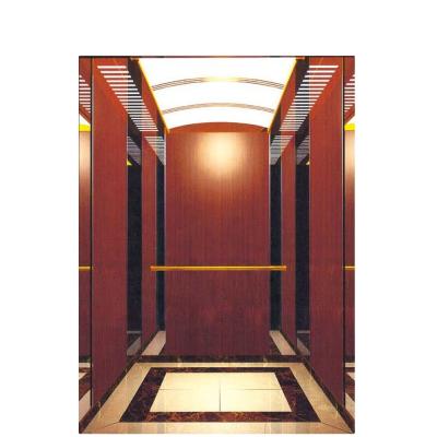 China Good price contemporary villa passenger lift FUJIHD decoration style LMR modern home villa elevator for sale