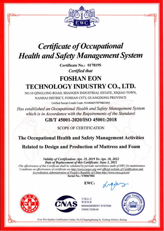 ISO 45001 - Foshan Eon Technology Industry Co., Ltd.