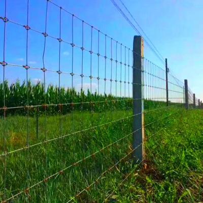 China High Tensile Galvanized Butt Welded Hot Sale Farm Field Fence And Sheep Fence Deer Fence for sale