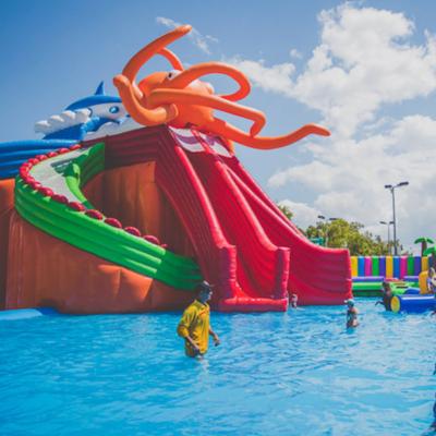 China Hot Sale PVC Commercial Inflatable Water Park Inflatable Water Slide With Pool for sale