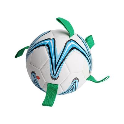 China Pet Morale Toy High Quality Plastic Chew Toy For Dog And Cat Viable Fashionable Football Shape for sale