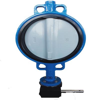 China Ductile iron/cast iron worm disc wafer gear driven nylon coated butterfly valves dn350 from China manufacturer for sale