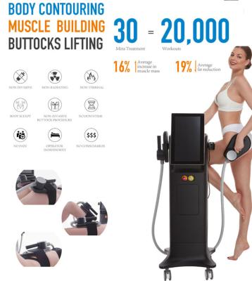 China New Technology EMS Weight Loss ADSS Electromagnetic Muscle Stimulation EMS Body Slimming Machine for sale