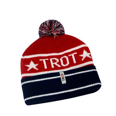 China JOINT Logo Color 3D Custom Knitted Plain Manufactured Outdoor Pom Pom Winter Hat Embroidery Hat Men Beanie Knitted Hats for sale