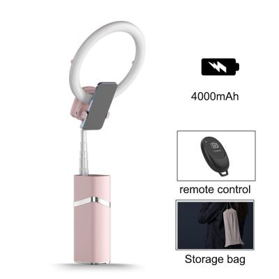 China Portable Warm Flexible Warm Living Light Sufficiency Lighting Invisible 10 Inch Floor Mobile Phone Holder Tripod Ring Light Portable Desktop Tik Tok Box for sale