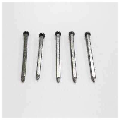 China China Wholesale Flat Zinc Galvanized Steel Square Leg Boat Nails for sale