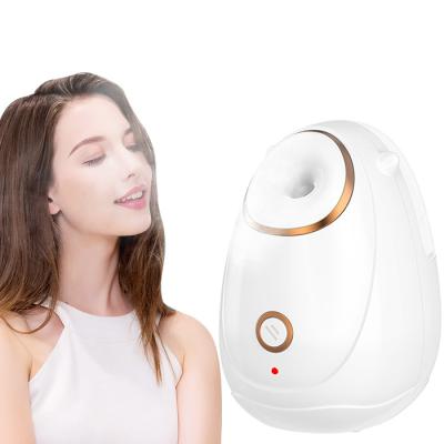 China Multifunctional Professional Skin Care Face Steamer Mister Mist Facial Sprayer Nano Face Moisturizer Humidifier for sale