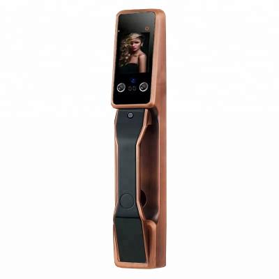 China Access Automatically Embedded Face Recognition Camera Smart Door Lock for sale