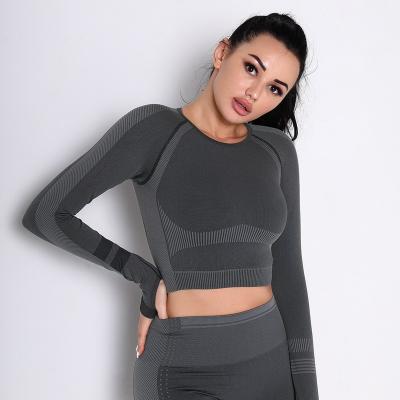 China Breathable Seamless Yoga Vest Quick Dry Long Sleeved Sports Morning Exercise Fitness Tops Running Women for sale