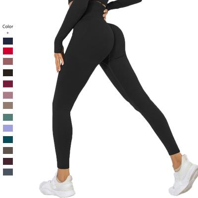 China Breathable Women Sports Leggings Gym Fitness Women Gaiters Solid Color Pants Seamless Legging Yoga Pants for sale