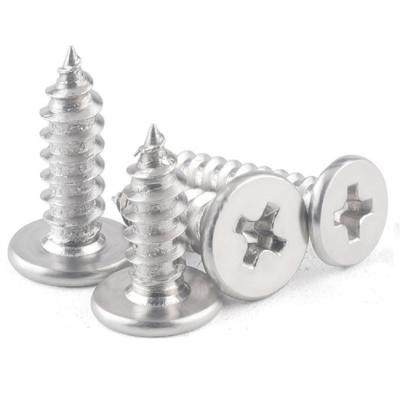 China CA3*10 ST3x12 Self Tapping Tail Point Head Self Tapping Screw Large Flat Flat Thin Self Tapping Head Screw for sale