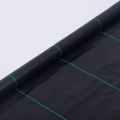 China Black Garden PP Woven Weedmat / Polypropylene Weed Mulch Mat To Prevent Grass Grow for sale