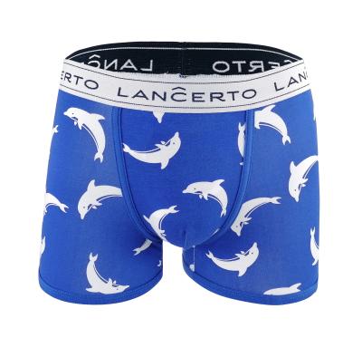 China Wholesale Antibacterial Mens Under Wear Cotton Boxer Shorts Mens Printing Boxer Briefs For Men Knitted Printing Pattern 5pcs 95% Cotton /5% Spandex for sale