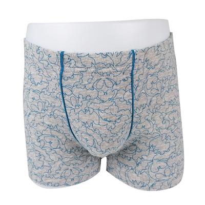 China Wholesale Factory Price QUICK DRY Customize Soft 2022 Cartoon Print Cotton Kids Clothing Boxer for sale