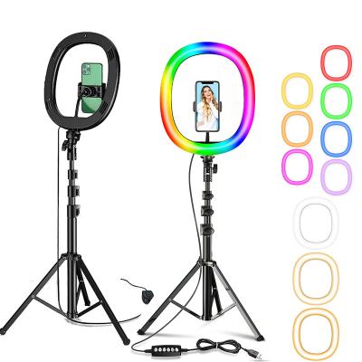 China 10 Inch PORTABLE Ring Light RGB Ringlight 10 Inch Selfie Fill Makeup Light LED Ring Light with Tripod Stand for sale