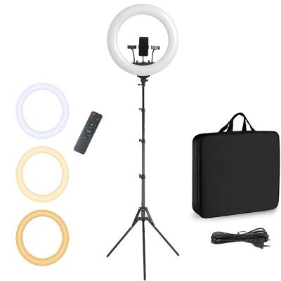 China Studio Shooting Photography Makeup Ring Lights 100W 3000-6500K Visual Professional Photography Led 18 Inch Ring Light With Tripod Stand Outdoor for sale