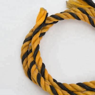 China Mooring Line High Tensile Polyethylene PE Plastic Rope For Packing for sale