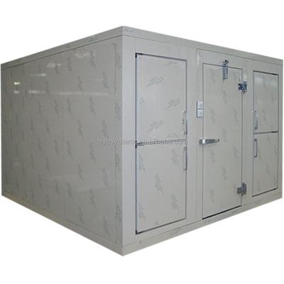 China China High Quality Modular Prefab Fruit And Vegetable Cold Storage Of Hotels for sale