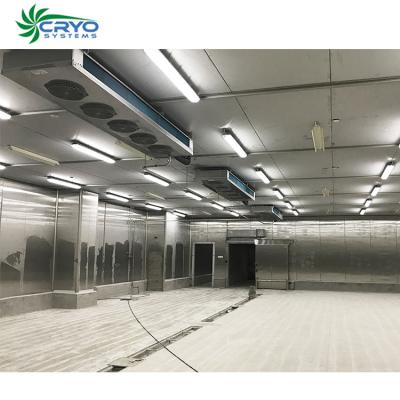 China Stable design and construction of Temperature Fruit Processing Cold Storage Warehouse Cold Room Storage Cold Storage for sale