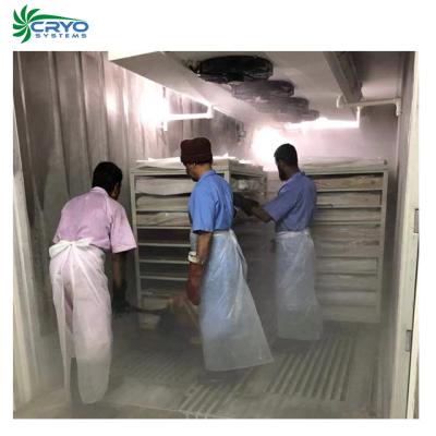 China Container Meat And Poultry Containerized Mobile Blast Freezer In Container for sale