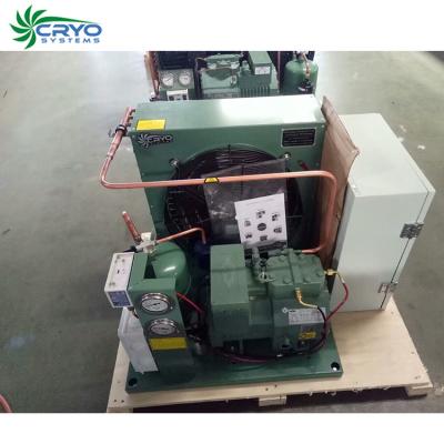 China Hotels 3 Ton Small Unit Compressor Refrigeration Unit Cold Room Condensing Units for sale