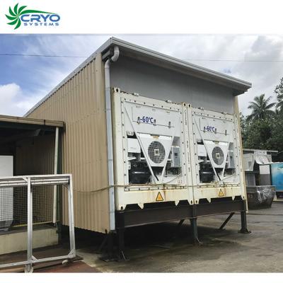 China For transportation some perish goods or meat/seafood medcine -60C temperature freezer container deep freezer 20/40ft reefer container for sale