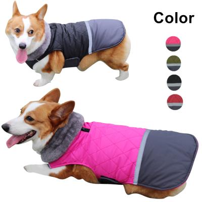 China Autumn Winter Warm Fur Collar Double Sided Stocked Pet Clothing Cotton Coat Waterproof Dog Clothes for sale