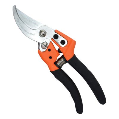 China Handle Household Shears Flower Fruit Tree Pruner Anti-skid Portable Gardening Hand Pruner for sale