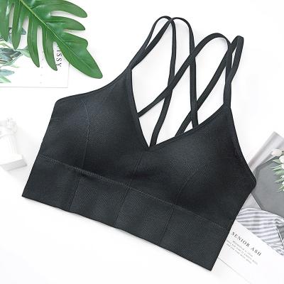 China Quality Sports Big Size Sports Bra Women's Guaranteed Breathable Seamless Nylon Underwear for sale