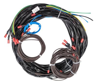 China Custom Electronic Manufacturer OEM Wire Assembly Auto Wire Harness made in china for sale