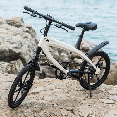 China 2021 36V 240W Steel Pedal Assist Electric Bike Bicycle, China Cheap Electric Bicycle for sale